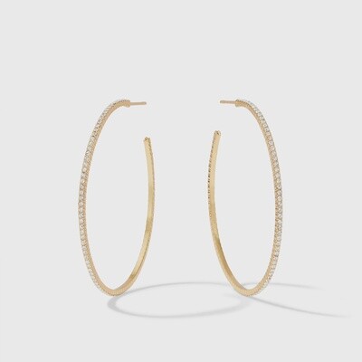 Windsor Hoop Earrings
