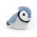 Birdling Blue Jay