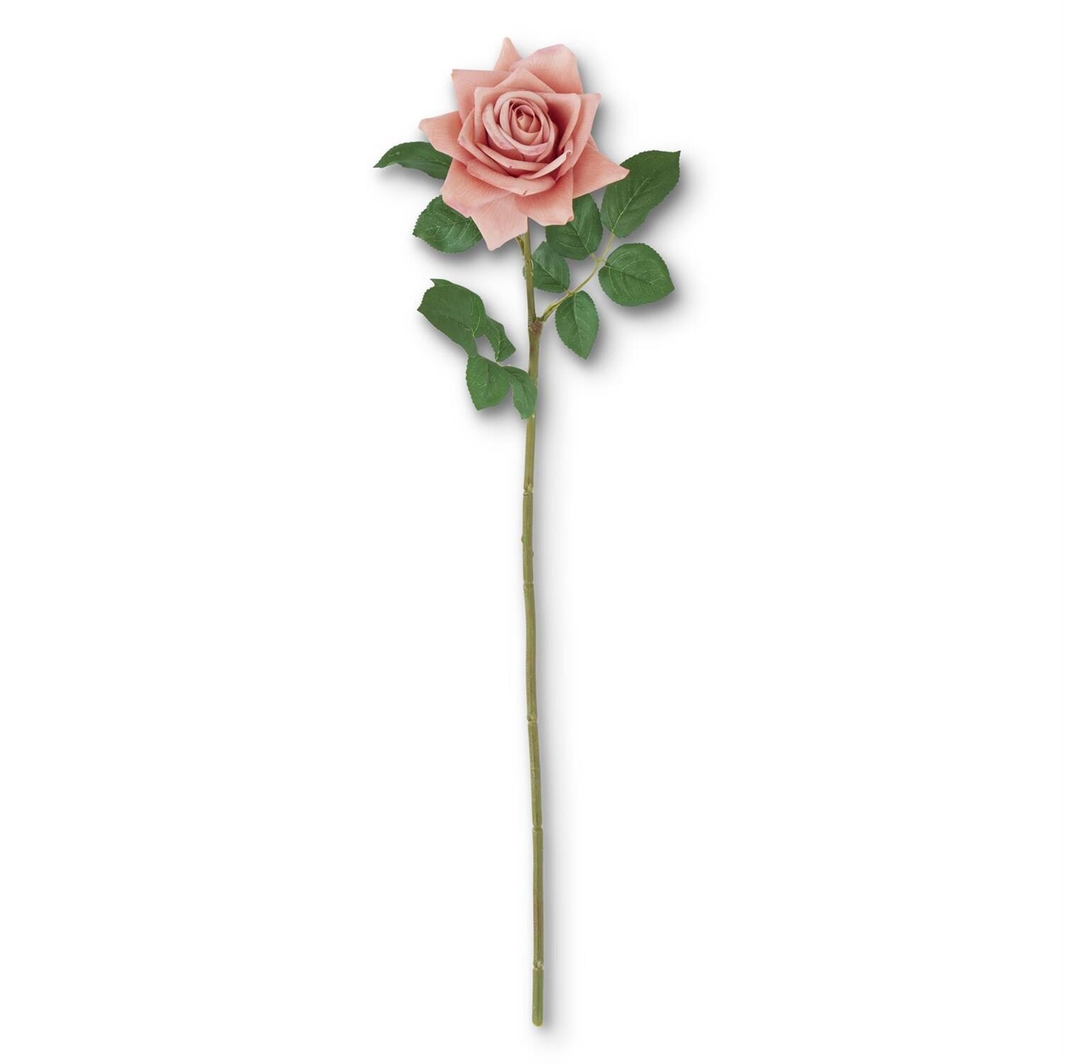25 Inch Coral Real Touch Duchess Rose Stem