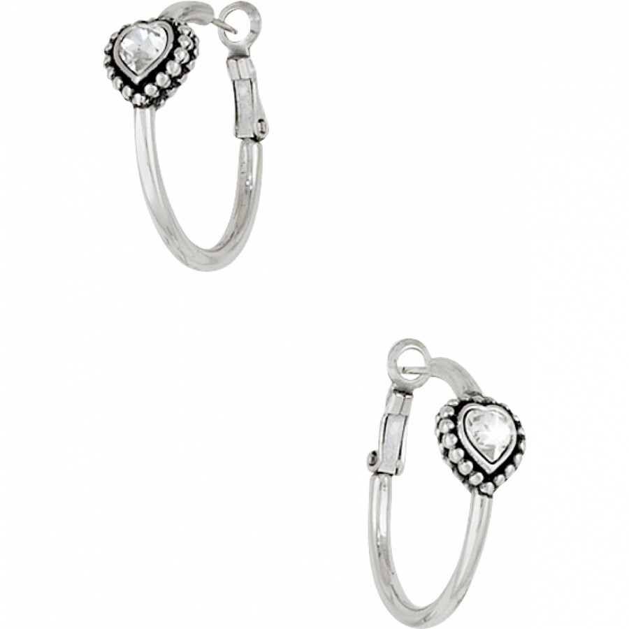 Suisses Post Earrings