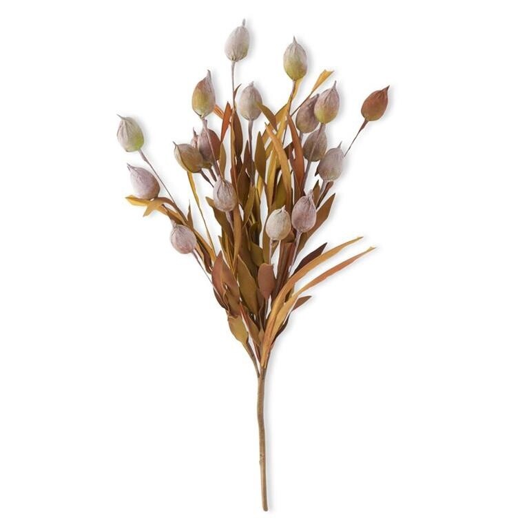 24 Inch Yellow &amp; Green Sleepy Silene Eva Bush