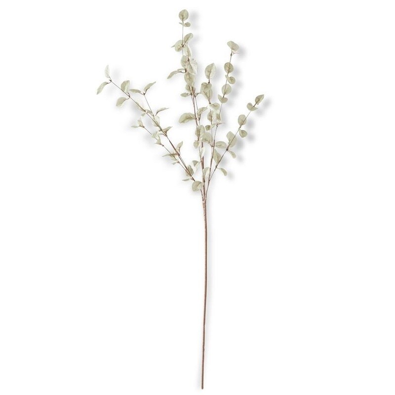 34 Inch Light Green Eucalyptus Stem