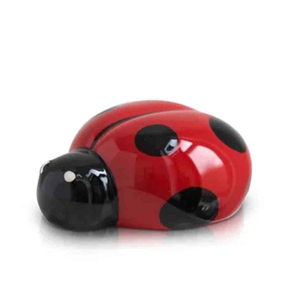 Lil&#39; Ladybug Mini