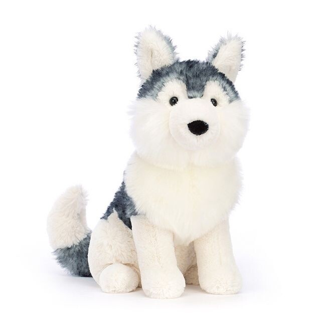 DNR-Jackson Husky