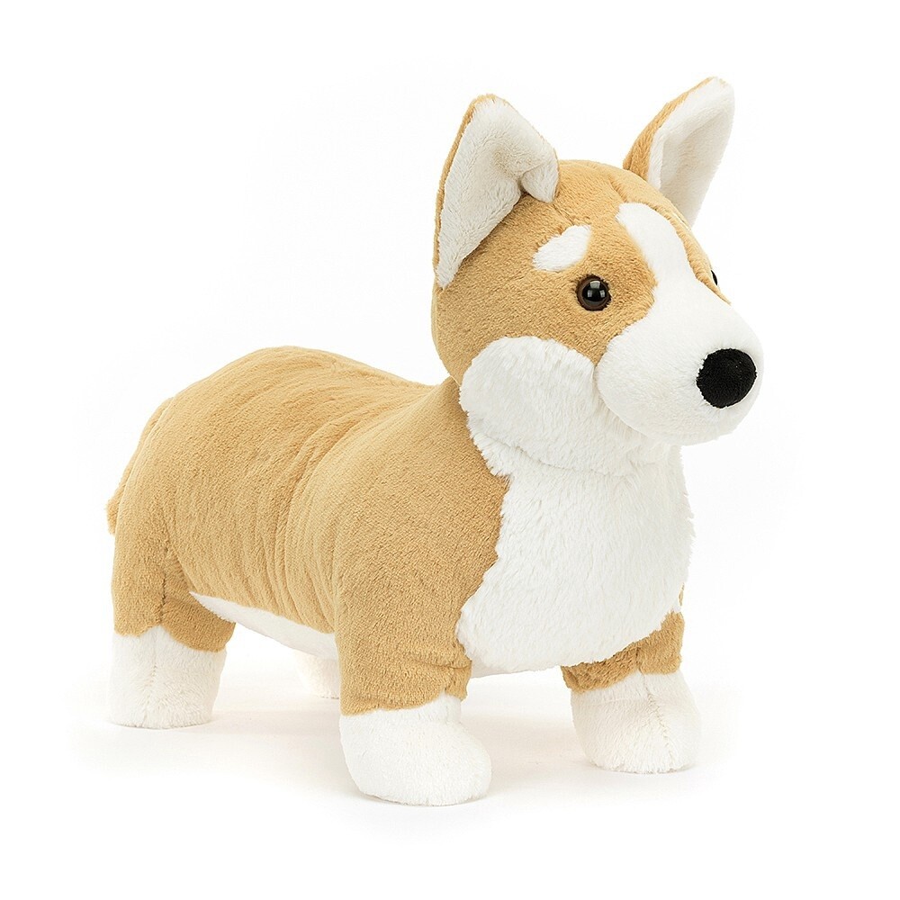 Betty Corgi - Big