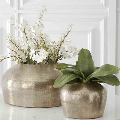 Botanicals