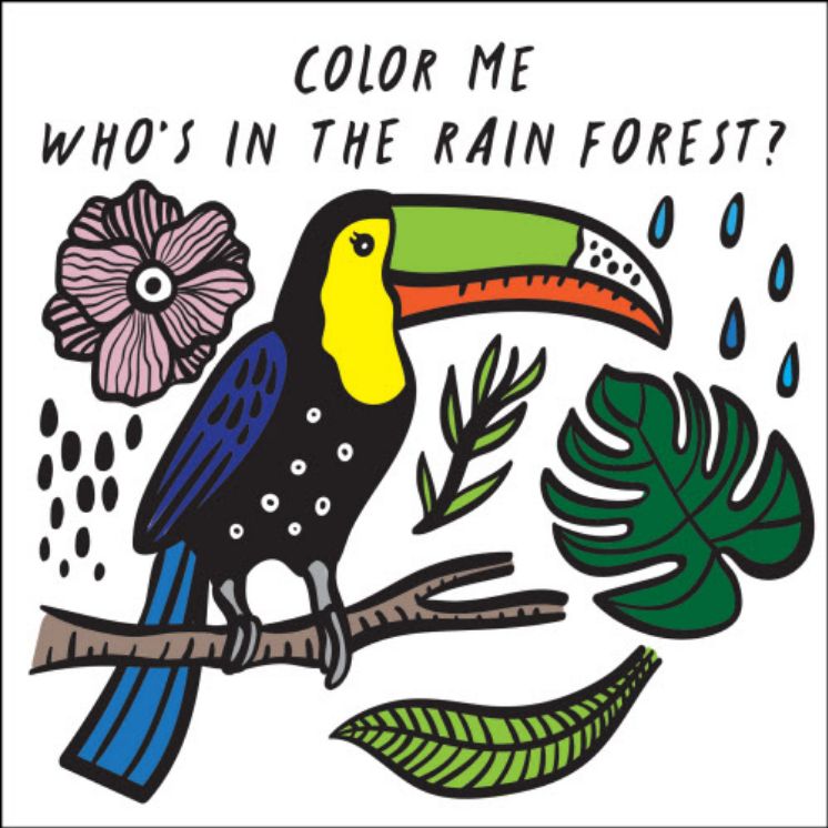 Color Me: Who&#39;s in the Rain Forest?