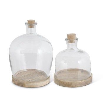 Glass cloche display dome with mango wood base, 14.25 inches tall, on white background