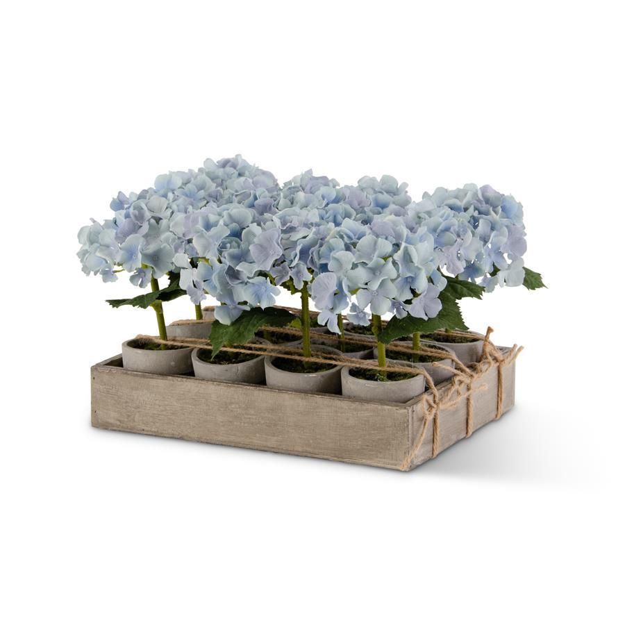 Potted Blue Hydrangeas w/Wood Tray