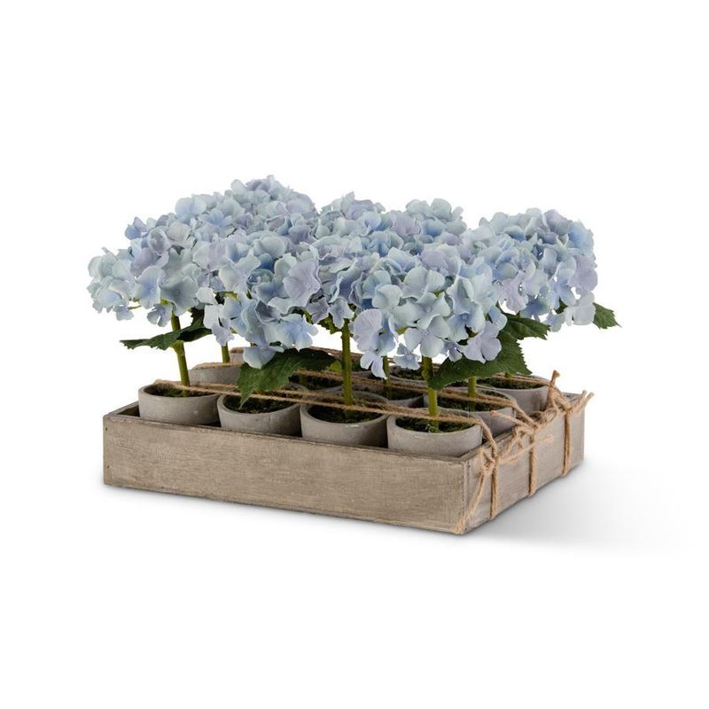 Potted Blue Hydrangeas w/Wood Tray