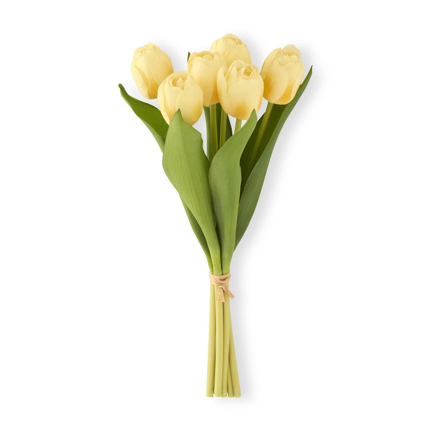 Light Yellow  Tulip Bundle (6 Stems)
