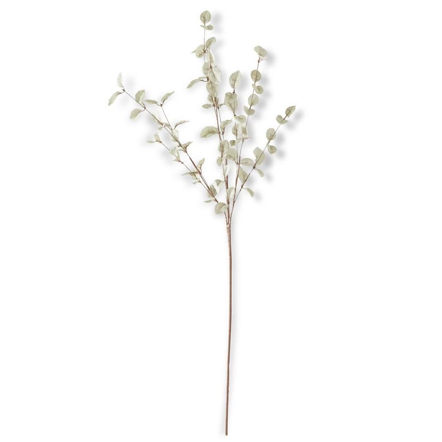 34 Inch Light Green Eucalyptus Stem