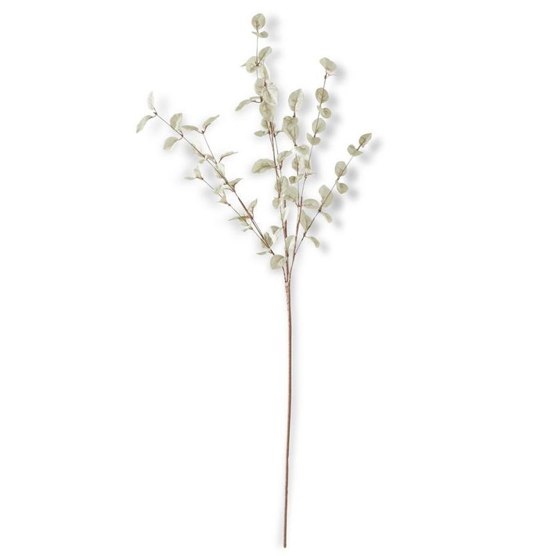 34 Inch Light Green Eucalyptus Stem