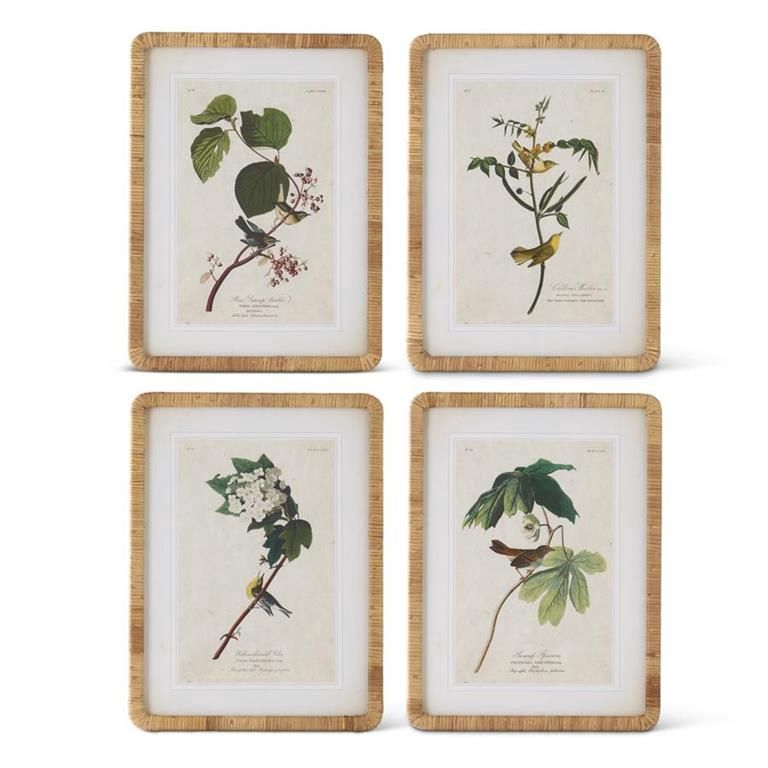 Assorted 23.25 Inch Bird/Botanical Print w/Rattan Frame