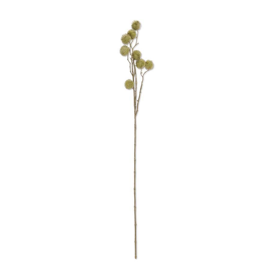 ___32 Inch Green Sycamore Fruit Ball Stem