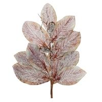 31" Frosted Magnolia Leaf Spray