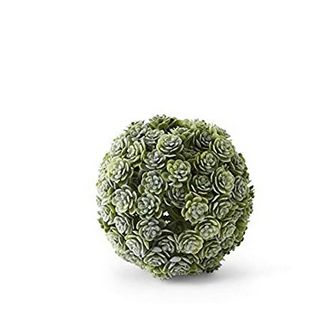 4 Inch Succulent Ball