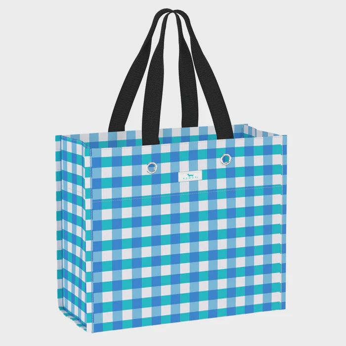 Large Package Gift Bag