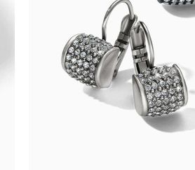 Meridian Leverback Earrings  Sil/Stn