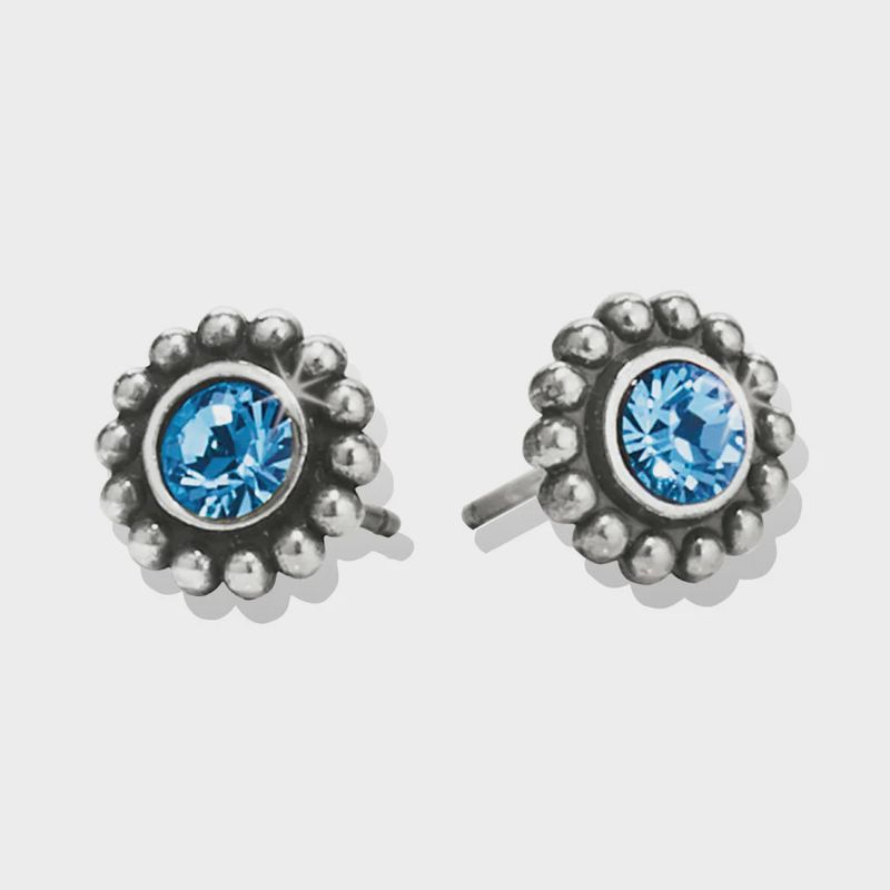 SIL/BLU Twinkle Mini Post Earring