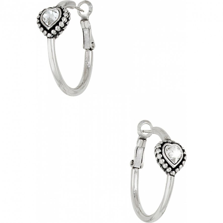 Suisses Post Earrings