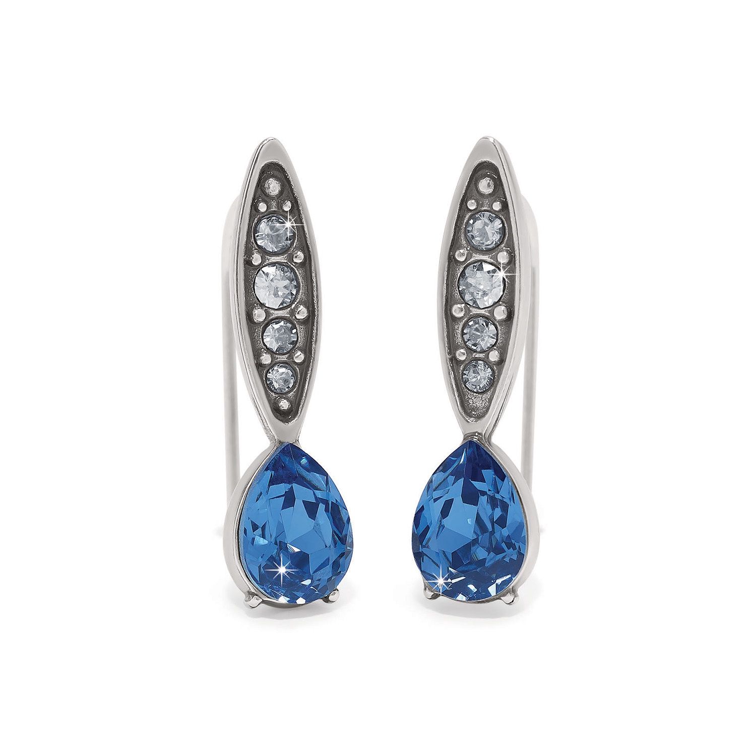 Mystery Of Love Earrings
