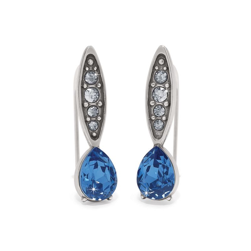 Mystery Of Love Earrings