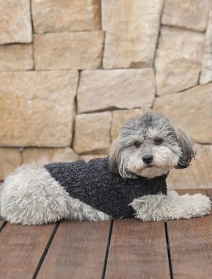 CozyChic® Ribbed Pet Sweater - Heathered Carbon/Black