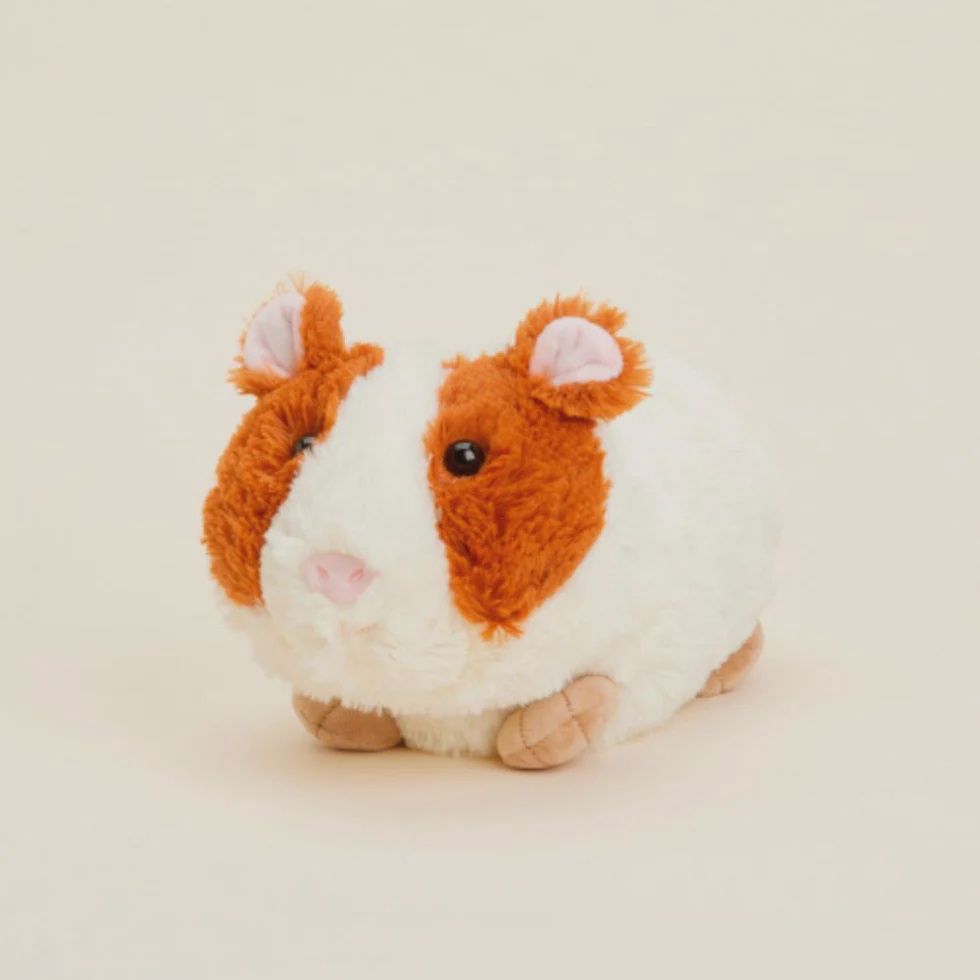 Guinea Pig Warmie