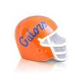 University of Florida Helmet