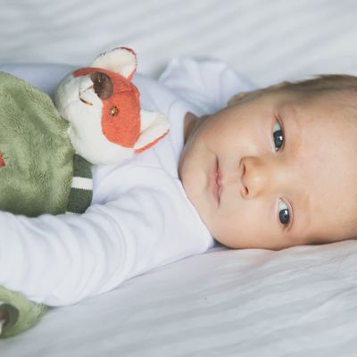 Handmade Foxy Blankie fox velvet swaddle blanket in a cozy lifestyle scene