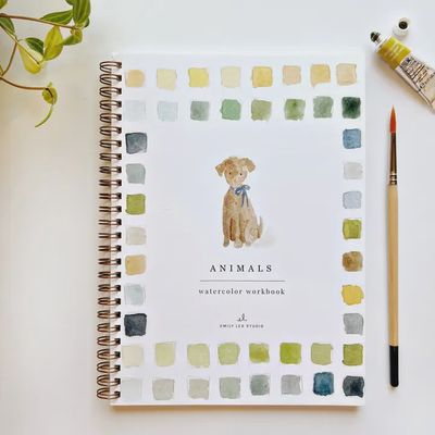 Emily Lex Studio Watercolor Workbook featuring 12 step-by-step illustrations, displayed on a white background