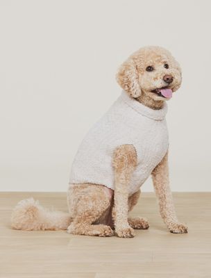 Barefoot Dreams CozyChic Cable Knit Pet Sweater in Stone