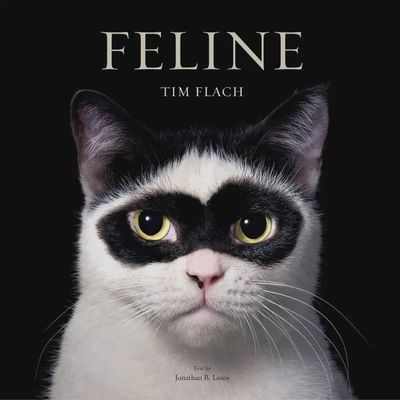 Feline photography book by Tim Flach hardcover edition featuring 170+ cat photographs, displayed against a neutral studio background