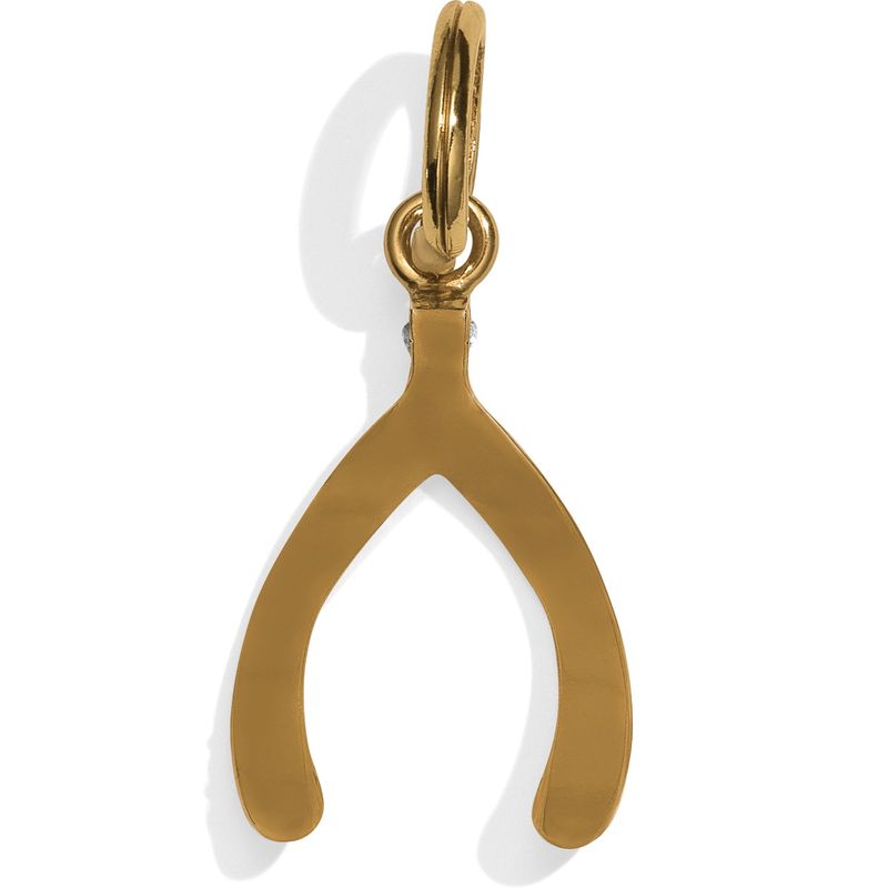 Wishbone Amulet Charm