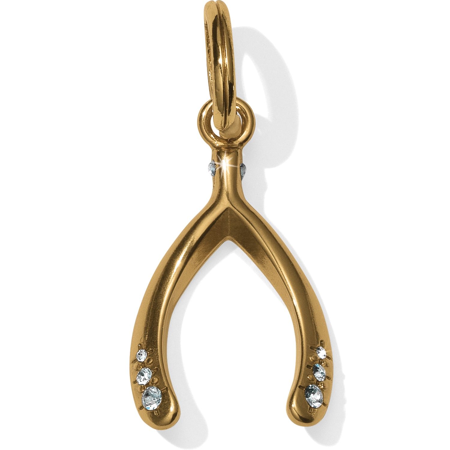 Wishbone Amulet Charm