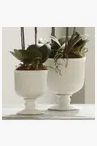 White ribbed ceramic urn planter with footed base, 11 inches tall, displayed in a garden setting