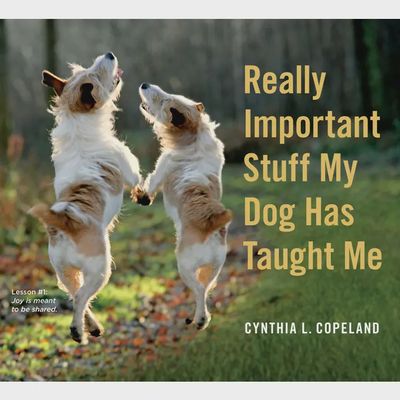 Book cover of Really Important Stuff My Dog Has Taught Me by Hachette, displayed against a neutral background