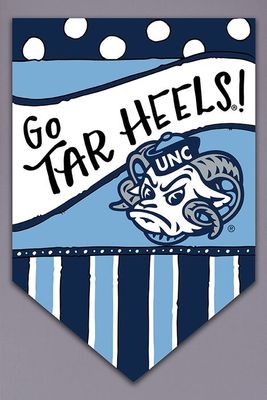 UNC Dots and Stripes Flag
