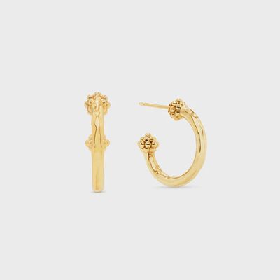 Berry Slice Small Hoop Earrings - Gold
