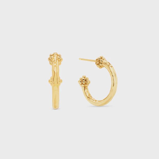 Berry Slice Small Hoop Earrings - Gold