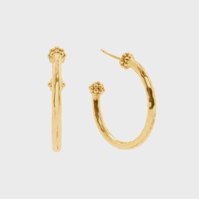 Berry Slice Medium Hoop Earrings - Gold