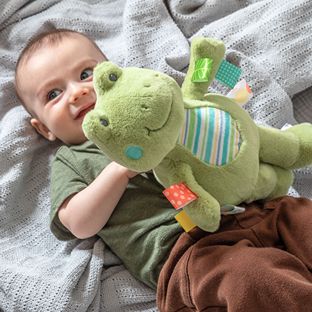 Taggies Peepers Frog Soft Toy – 11″