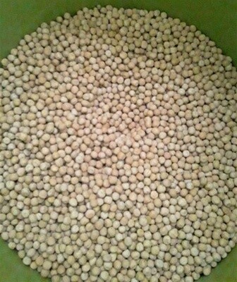 Peas - cover crop seed by the LB