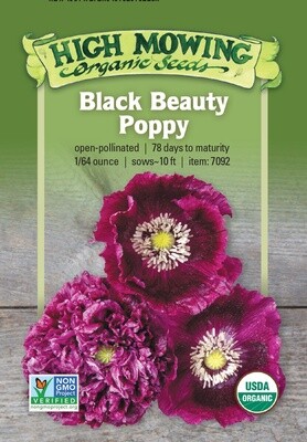 Black Beauty Poppy Seeds - Organic