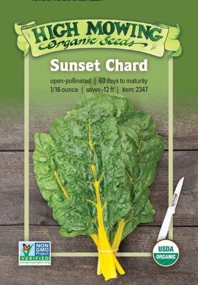 Sunset Chard Seed