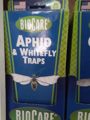 Aphid &amp; Whitefly Traps
