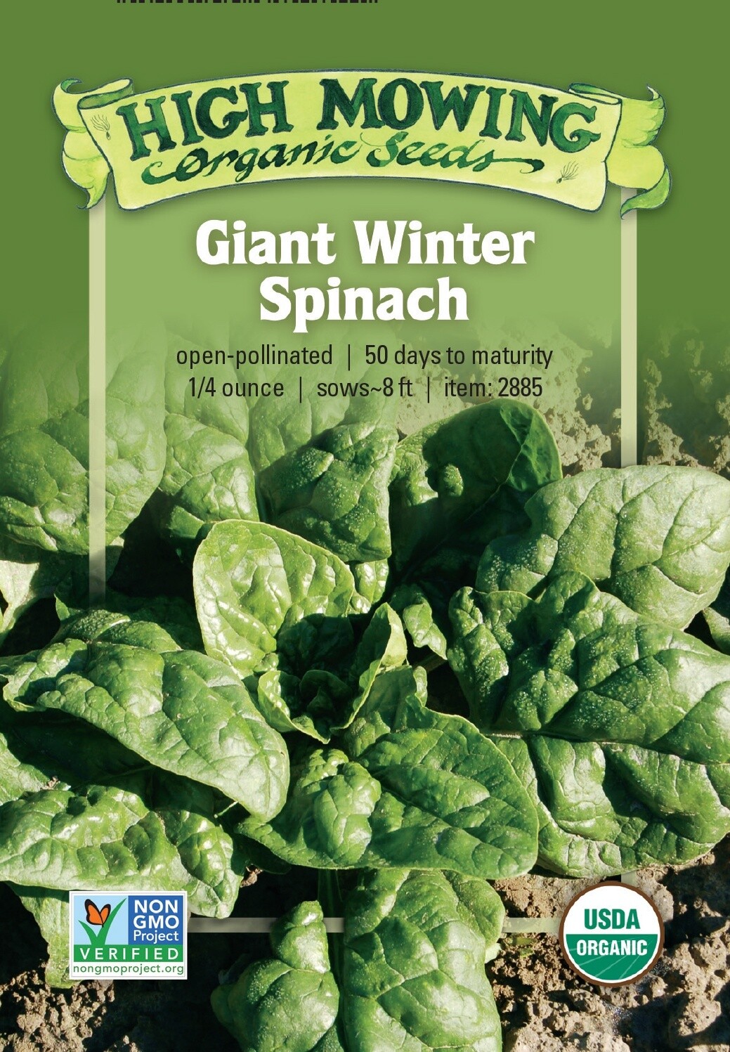Giant Winter Spinach Seed - Organic