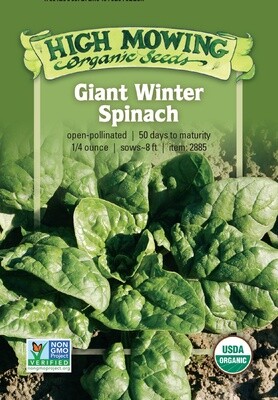 Giant Winter Spinach Seed - Organic