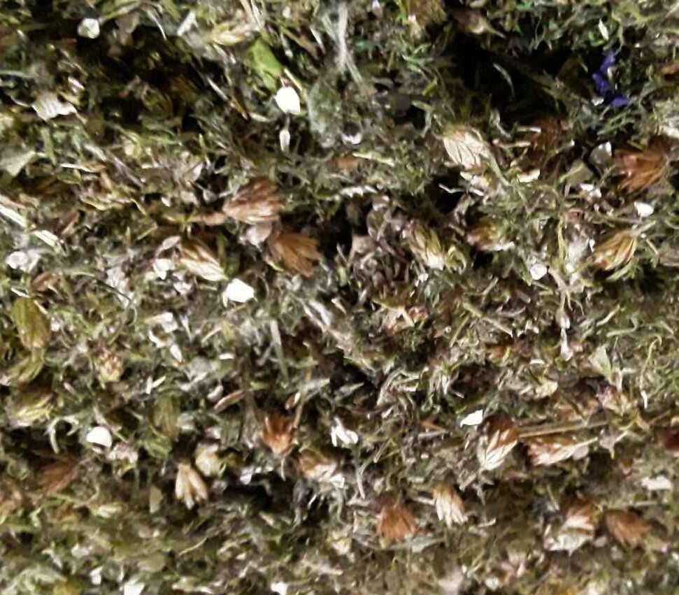 Yarrow Alaska Grown &amp; Dried